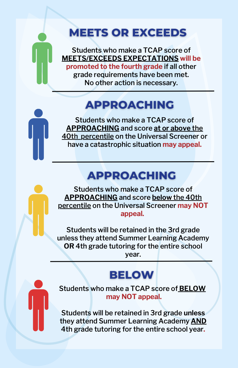 MSCS Foundational Literacy Skills Plan